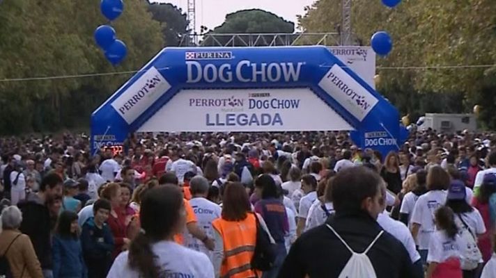 Informativo de Madrid - Informativo de Madrid 2 - 20/10/14