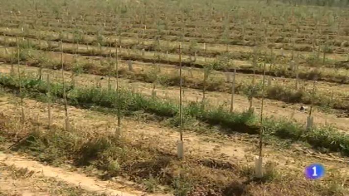 Noticias de Extremadura - Extremadura en 2' - 21/10/14