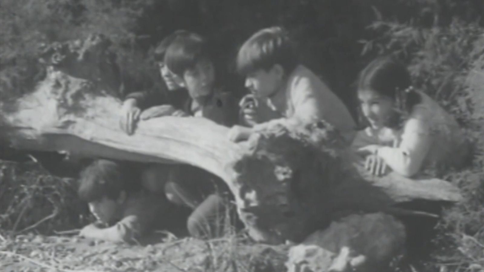 Crónicas de un pueblo - La oveja negra