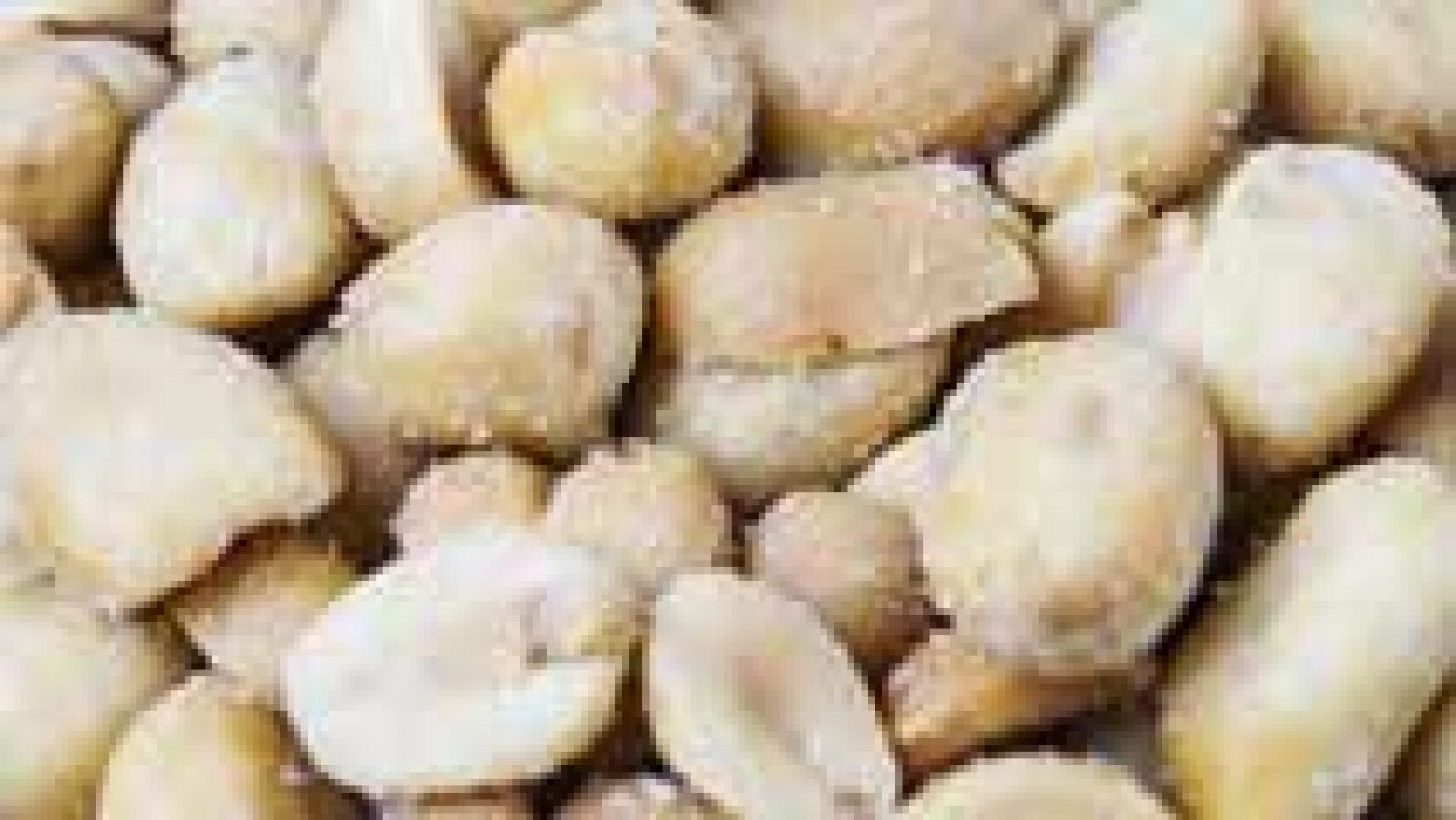 Intolerancia y alergia alimentarias