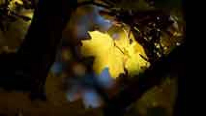 El tiempo - Viento fuerte en Gerona y zonas del este de Baleares