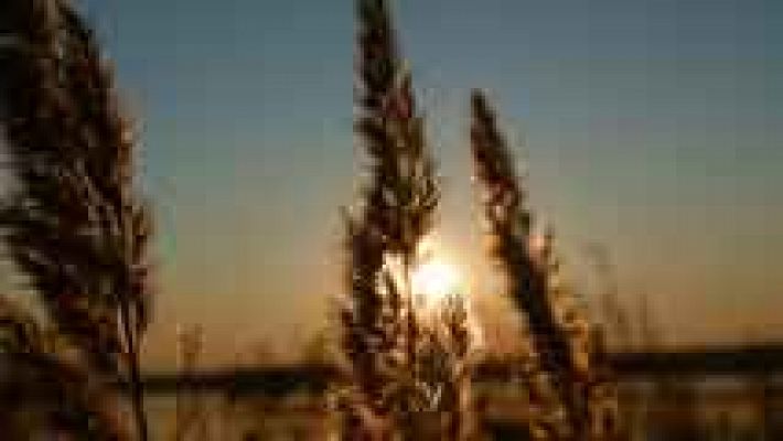 El tiempo - Predominará el cielo poco nuboso o despejado en toda España