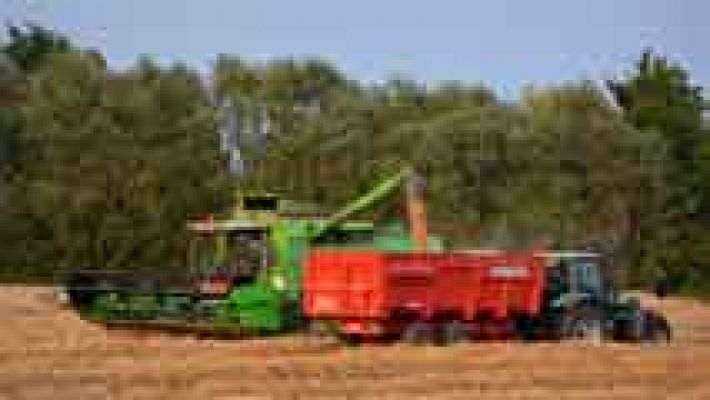 Telediario 1 - El desempleo subió en agricultura