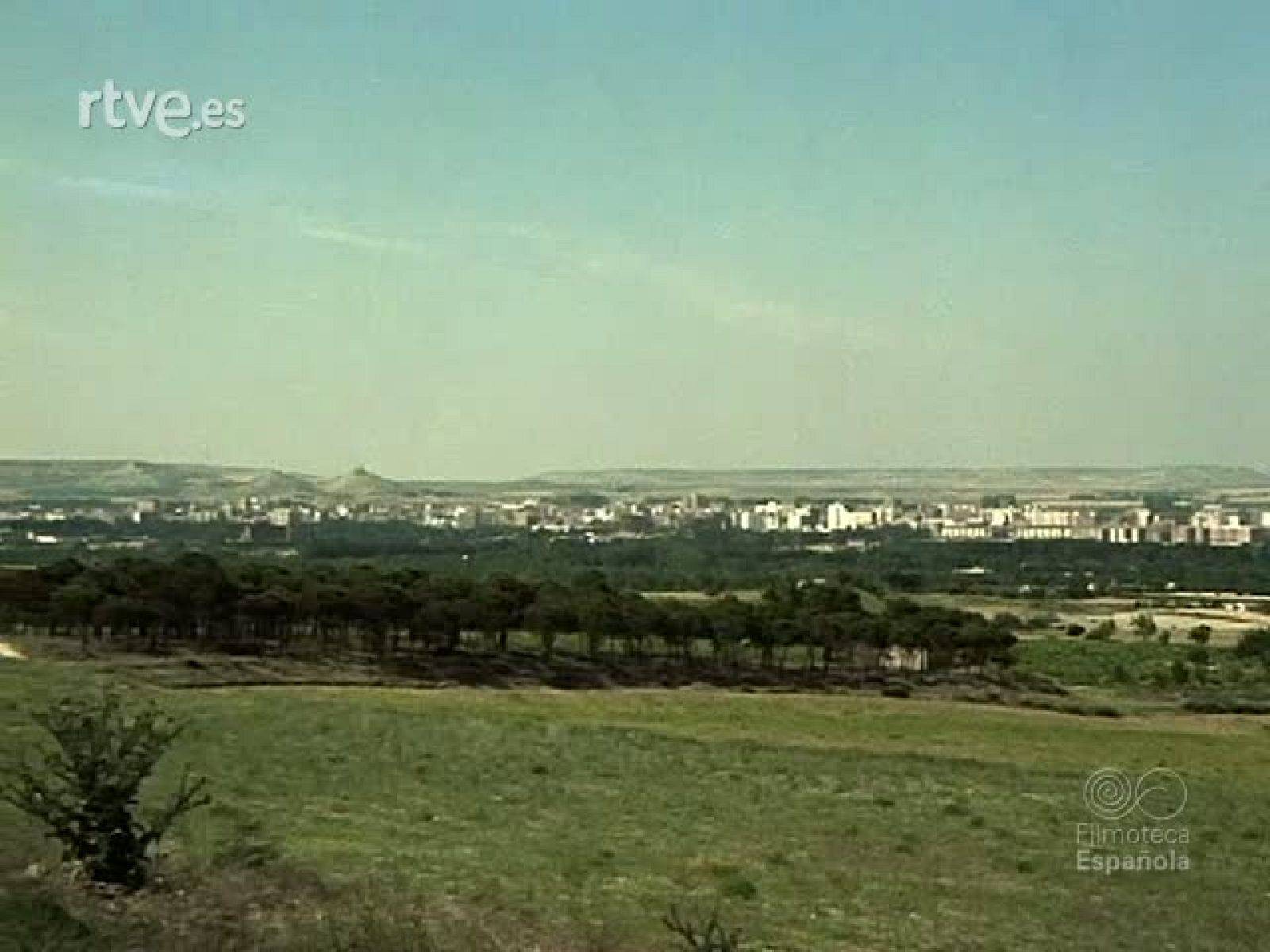 LOS REYES DE ESPAÑA EN PALENCIA | Ver