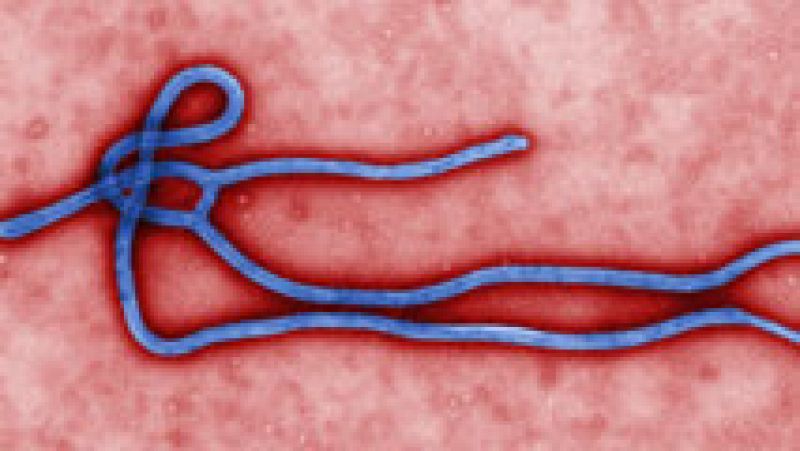 Las autoridades de Mali confirman el primer caso de Ébola en el país