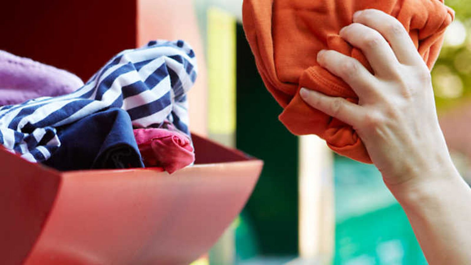 El escarabajo verde - Economía circular - Ver ahora