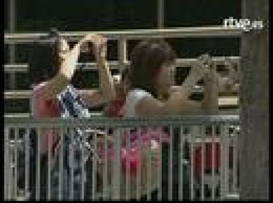  - Un oso polar...verde