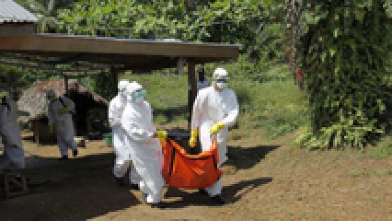 Más de 10.000 casos de ébola en el mundo según la OMS