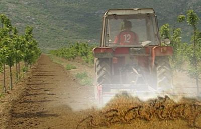 Cultivar la reconciliación