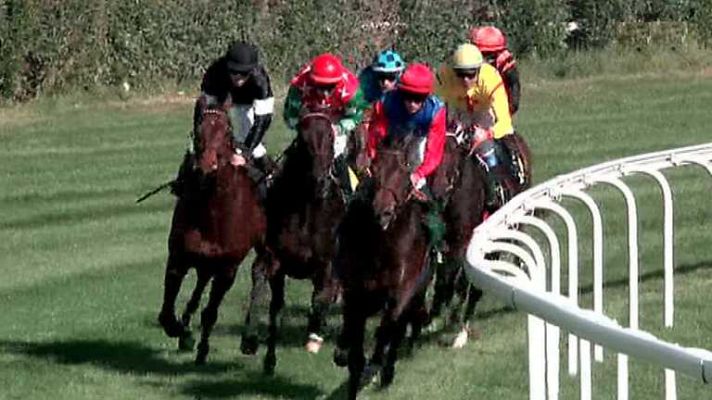 Turf - Turf - 26/10/14