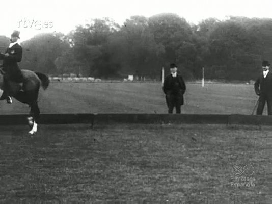 WALTER WIRRANS HORSES AT SURRENDER