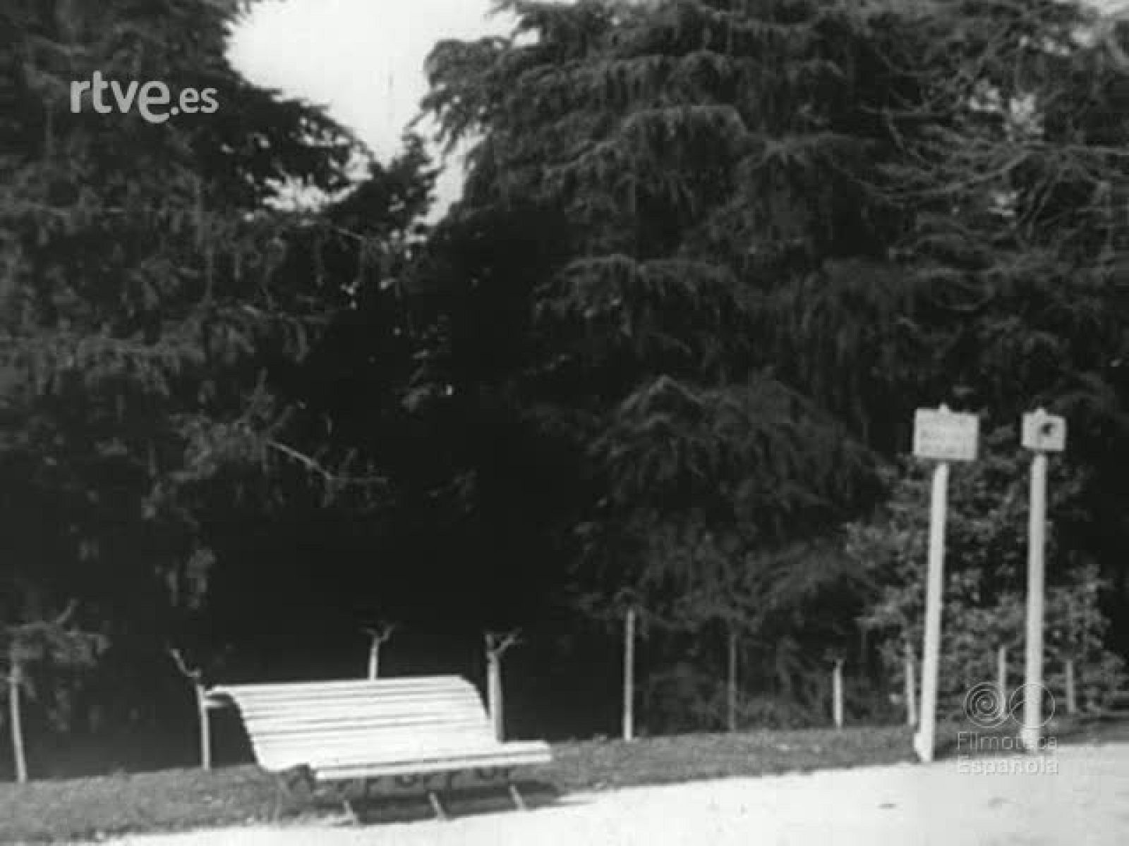 ALFONSO XIII CON UNIFORME DE HUSAR - Archivo Real (Alfonso XIII) | Ver