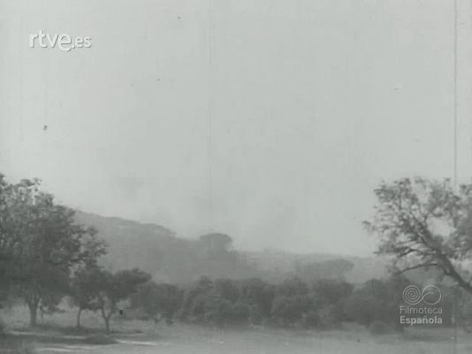 Archivo Histórico - MADRID TUMBA DEL FASCIO. QUINTA JORNADA. DOCUMENTAL NUMERO 9