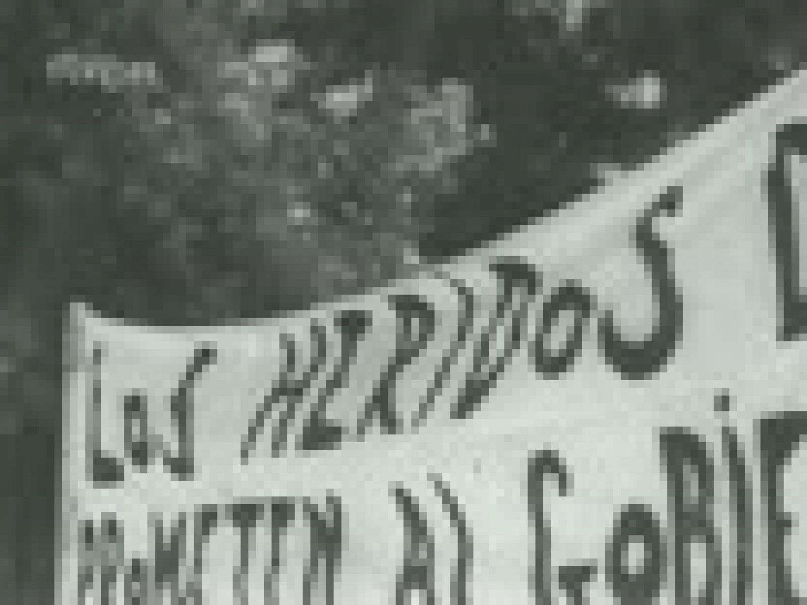 TODO EL PODER PARA EL GOBIERNO | Ver