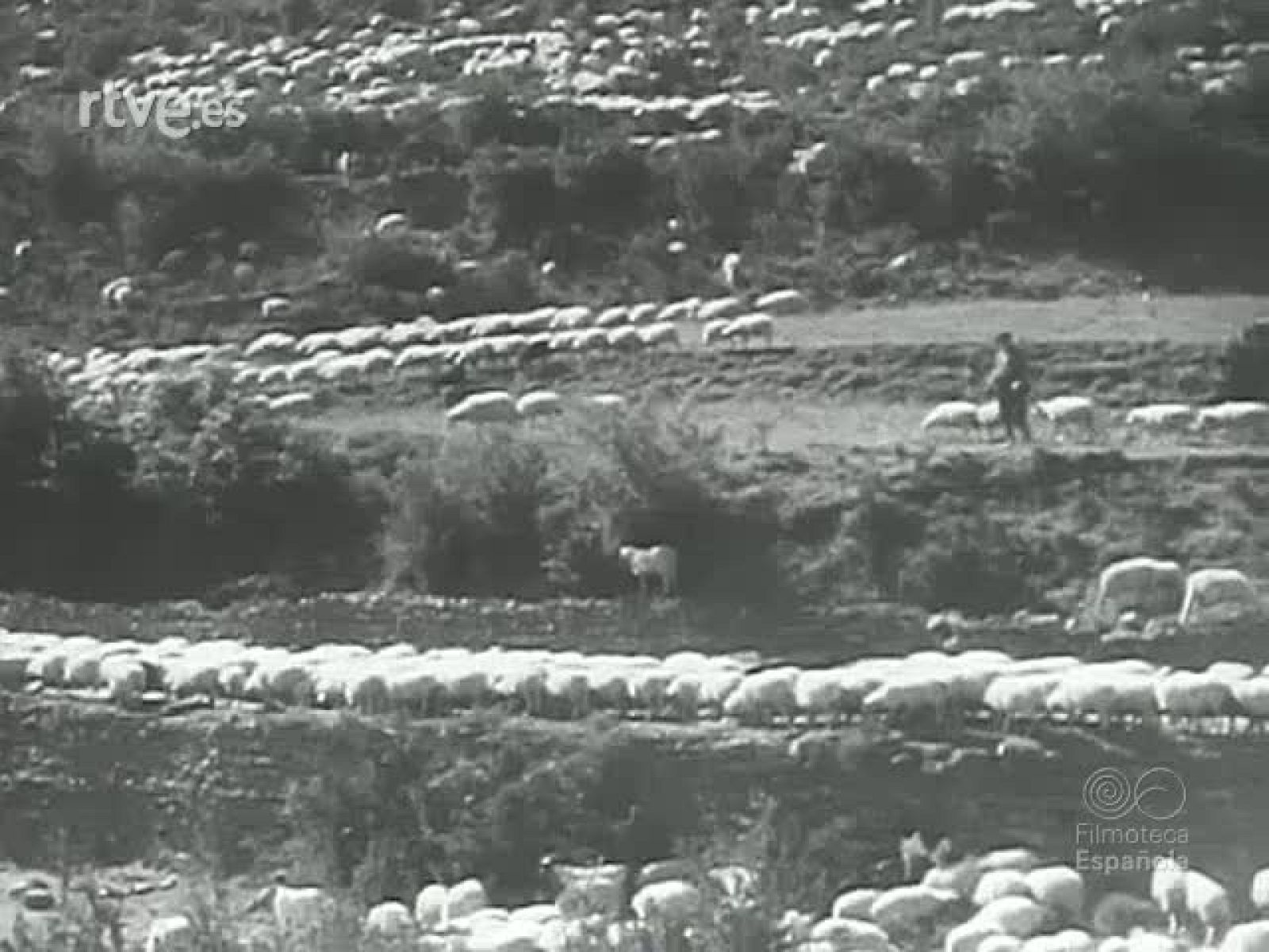 ESPANYA AL DIA. NOTICIARIO CATALAN | Ver