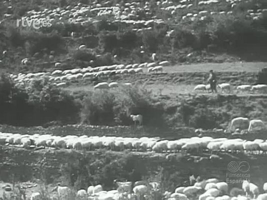 Archivo Histórico - ESPANYA AL DIA. NOTICIARIO CATALAN