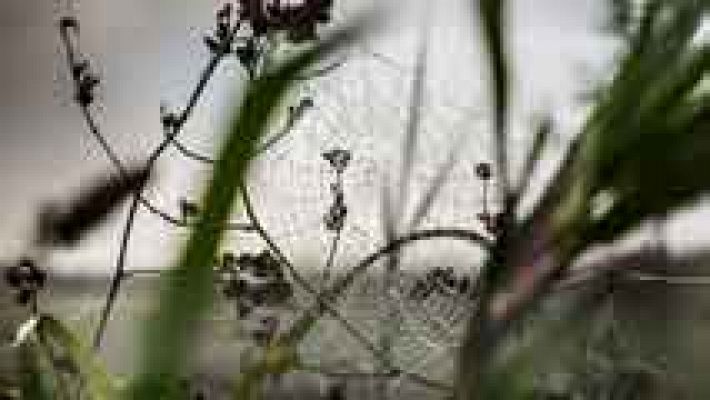 Informativo de Madrid - El tiempo en la Comunidad de Madrid - 28/10/14