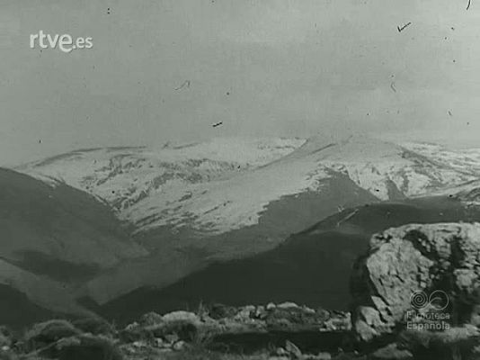 Archivo Histórico - EJERCITO NACIONALISTA ESPAÑOL 1938. 6