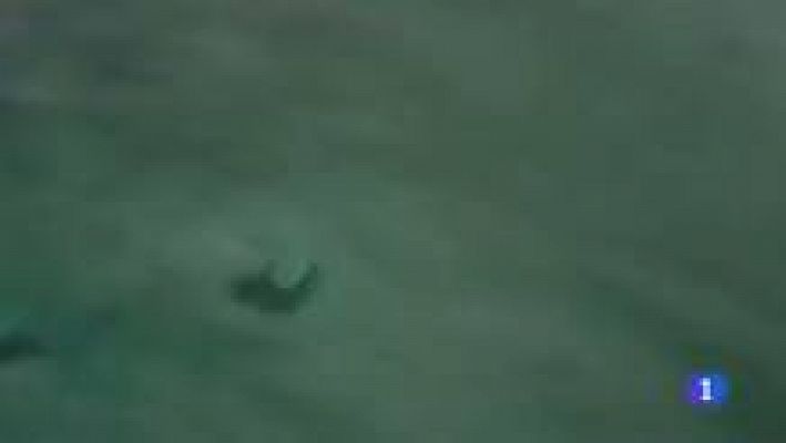 Telediario 1 - Clark Little, el fotógrafo de las olas