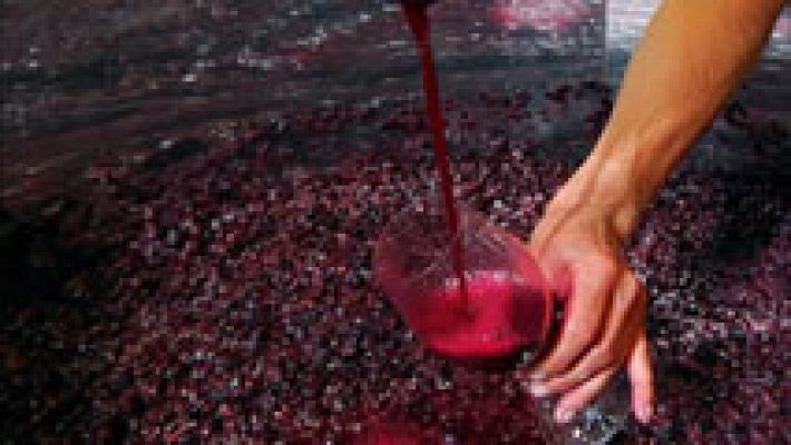 Aquí la Tierra - Vino centenario de altura