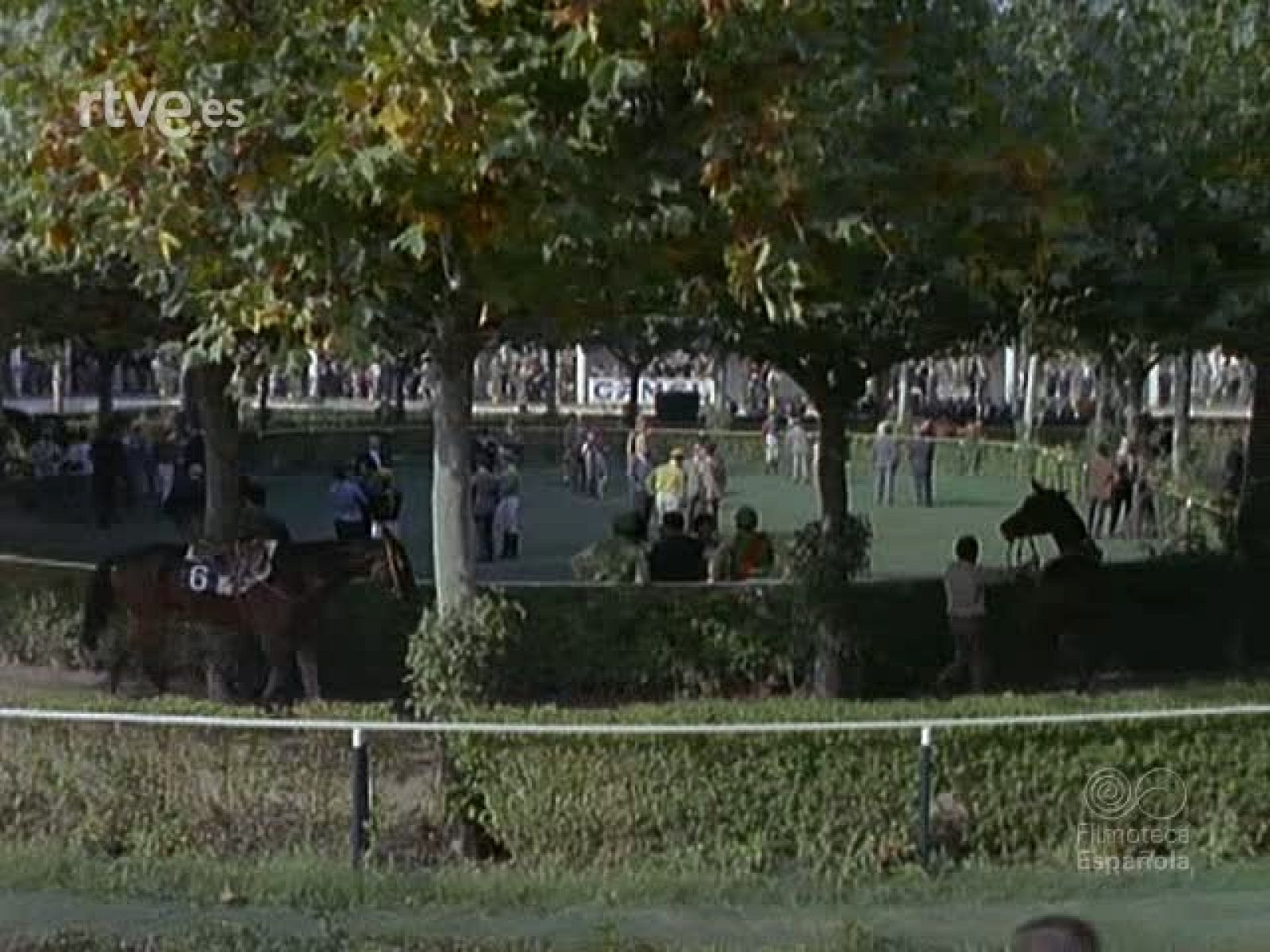 IMAGENES DEL DEPORTE 2 - Imágenes del deporte | Ver