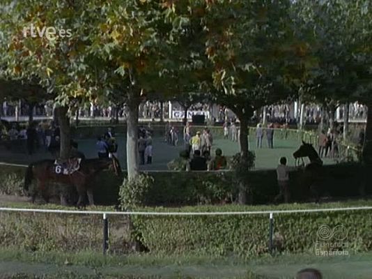 Imágenes del deporte - IMAGENES DEL DEPORTE 2