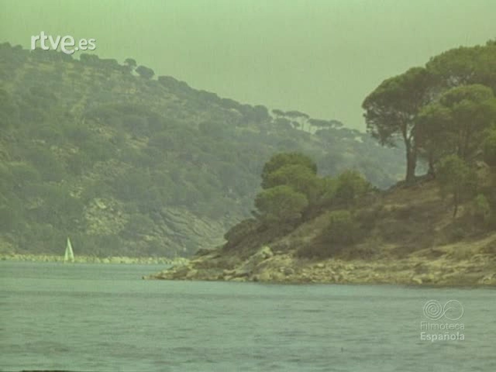 CAMPEONATO DE ESPAÑA DE MOTONAUTICA - Imágenes del deporte | Ver