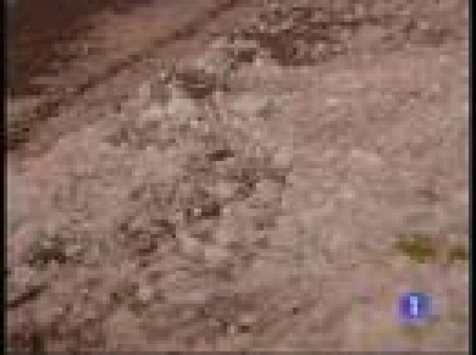 Lluvia y granizo cubren las calles de Madrid | Ver