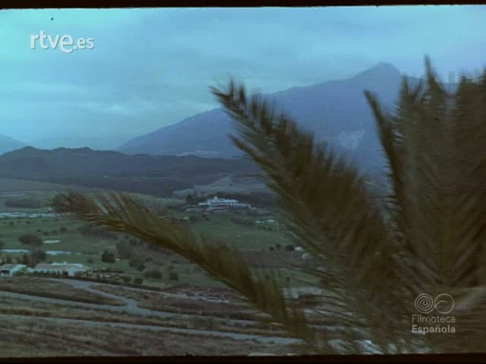 XXI COPA DEL MUNDO DE GOLF - Imágenes del deporte | Ver