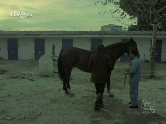 Imágenes del deporte - JINETES Y CABALLOS