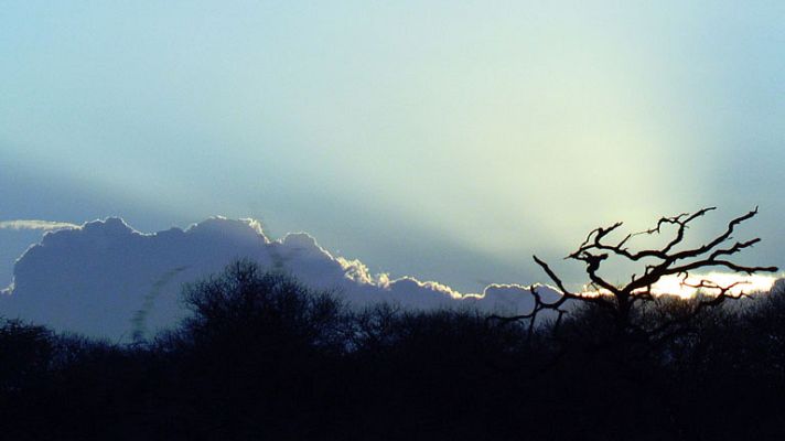 Informativo de Madrid - El Tiempo en la Comunidad de Madrid - 31/10/14