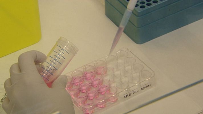 Telediario 1 - Un suplemento alimenticio podría prevenir la tuberculosis