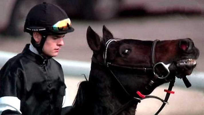 Turf - Turf - 02/11/14