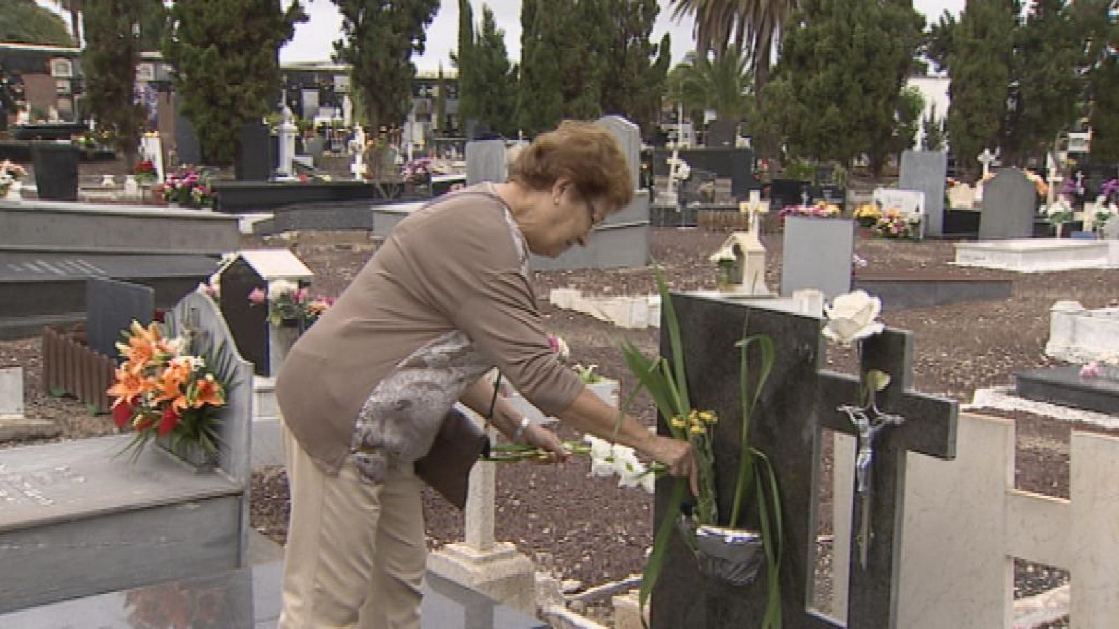 Telecanarias - 02/11/14 | Ver