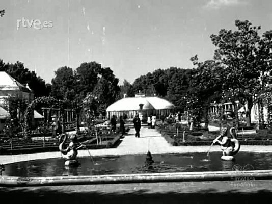 Documentales Blanco y Negro - ANIMALES DE TIERRA Y AGUA