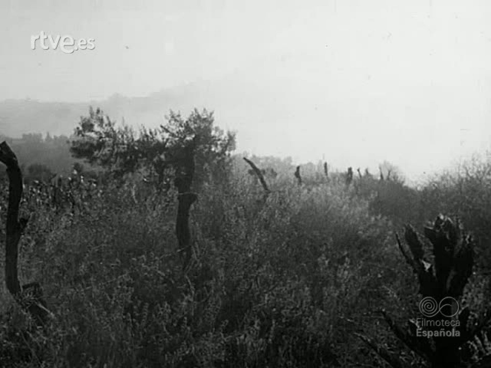 ARCOS DE LA FRONTERA - Documentales Blanco y Negro | Ver