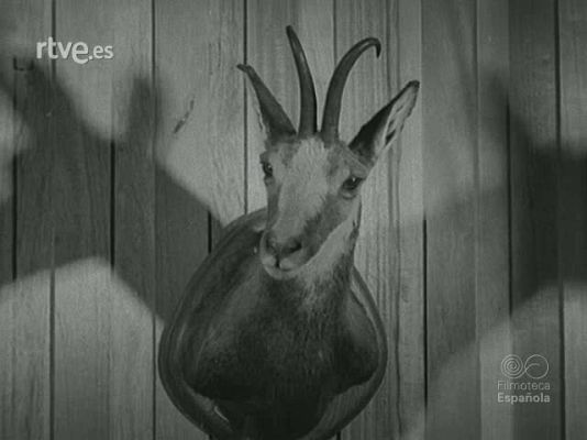 Documentales Blanco y Negro - LA CAZA EN ESPAÑA