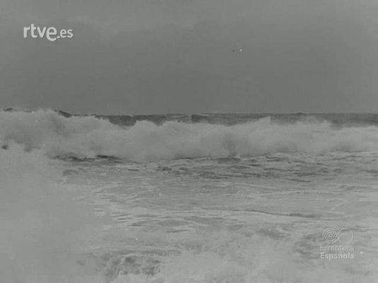 Documentales Blanco y Negro - MADRID PUERTO PESQUERO