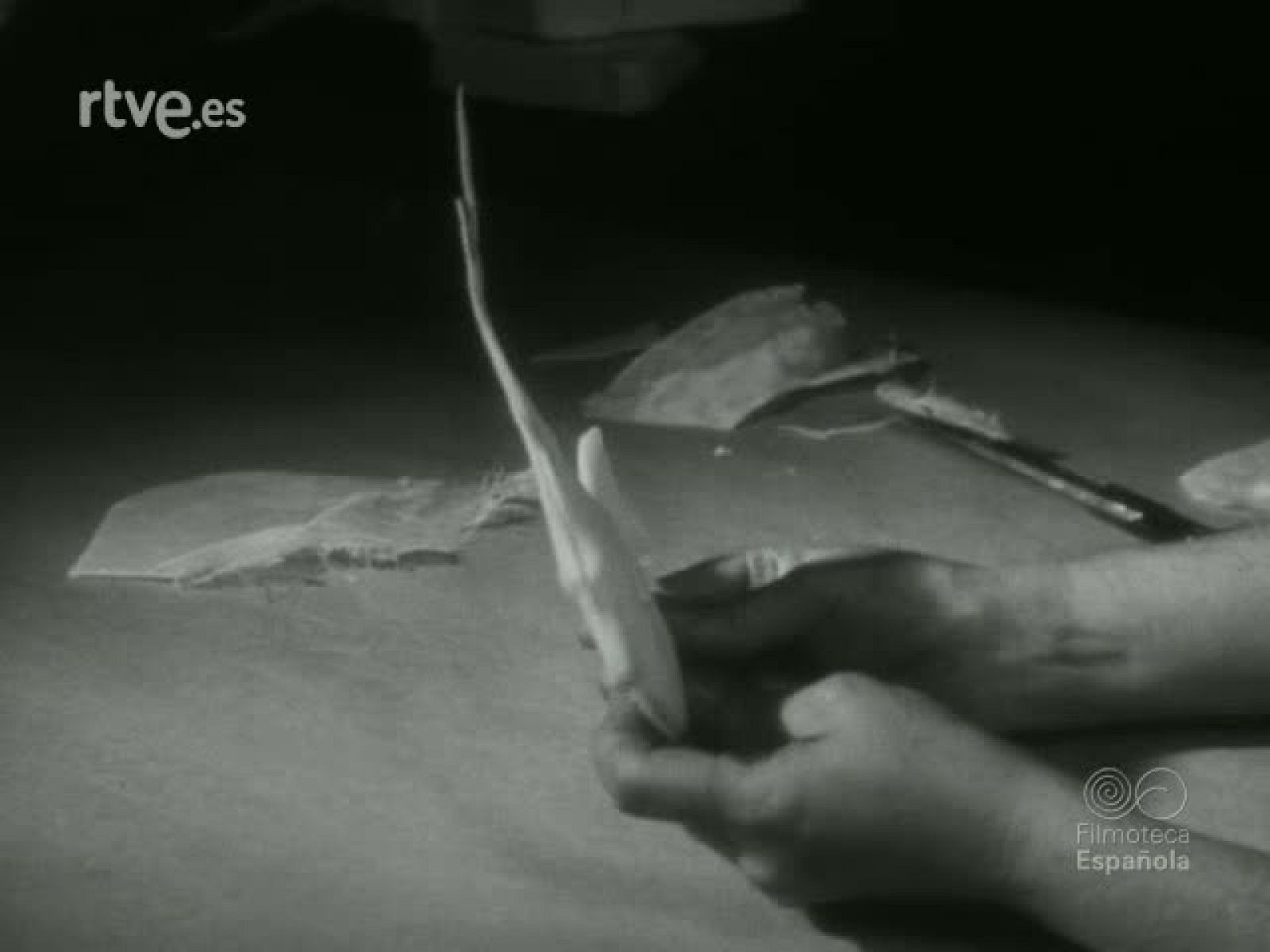 EL MUNDO SUBMARINO - Documentales Blanco y Negro | Ver