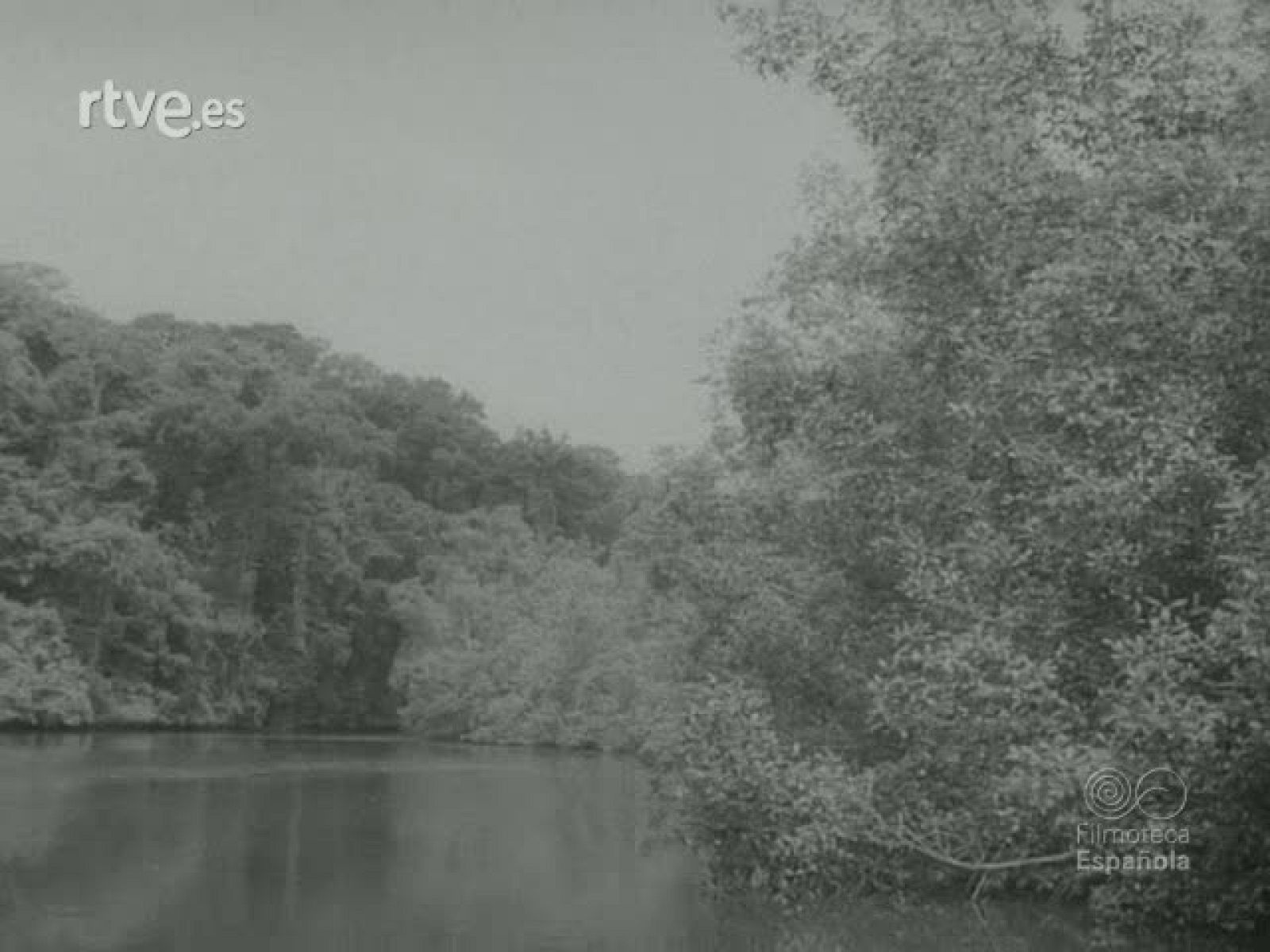 MISION SANITARIA EN GUINEA - Documentales Blanco y Negro | Ver