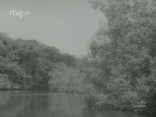 Documentales Blanco y Negro - MISION SANITARIA EN GUINEA