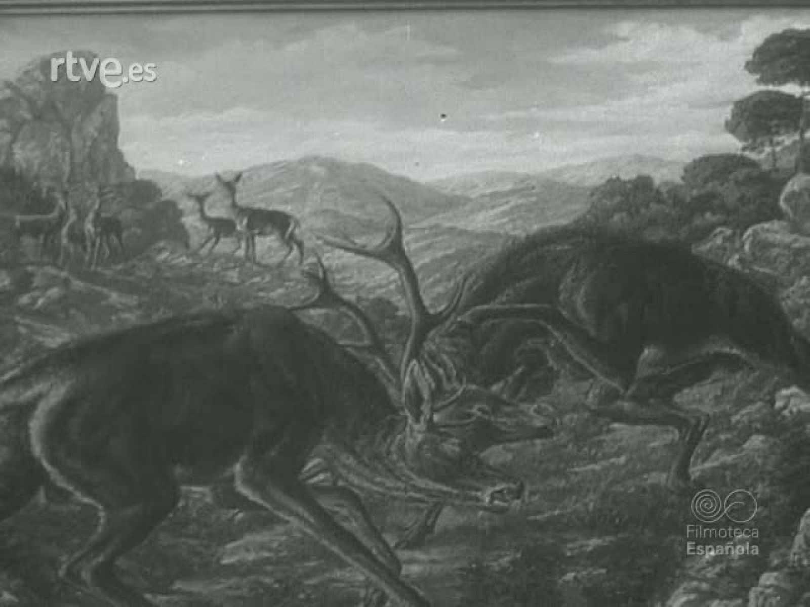 MONTERIAS EN EL PARDO Y ANDUJAR - Documentales Blanco y Negro | Ver