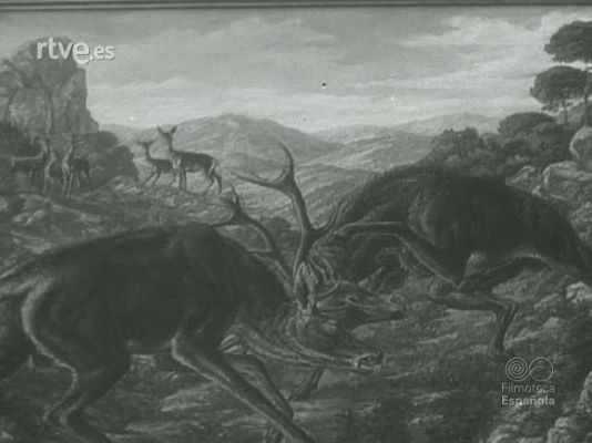 Documentales Blanco y Negro - MONTERIAS EN EL PARDO Y ANDUJAR