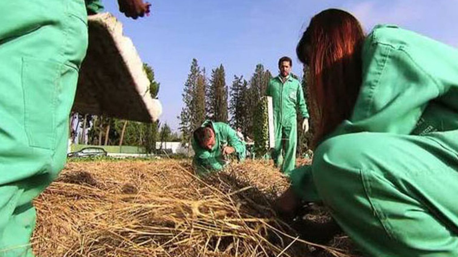 El Escarabajo Verde - Devorando suelo - Avance