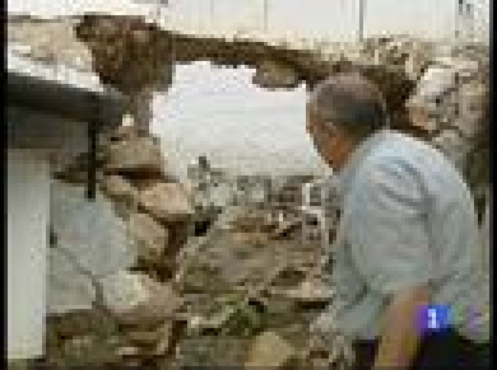 La lluvia ha castigado a varios pueblos andaluces | Ver