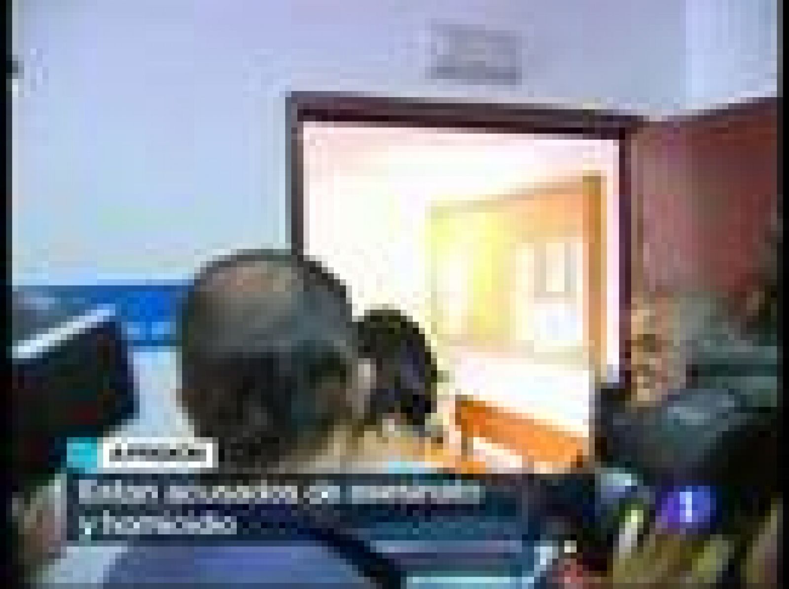 Sin programa: Detenidos por el crimen del Ferrol | RTVE Play