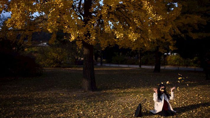 Informativo de Madrid - El tiempo en la Comunidad de Madrid - 04/11/14