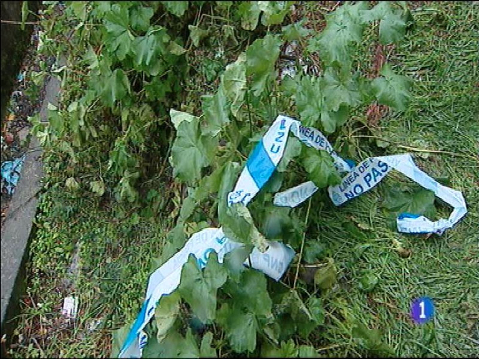 Panorama Regional 2 - 04/11/14 | Ver