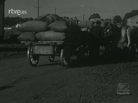Documentales Blanco y Negro - UN DIA EN SANTIAGO