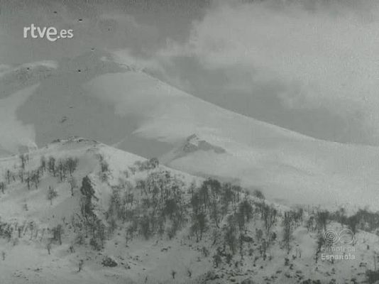 Documentales Blanco y Negro - Y LLEGO LA CIGUEÑA